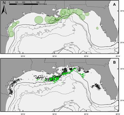 Movement, Behavior, and Habitat Use of a Marine Apex Predator, the Scalloped Hammerhead